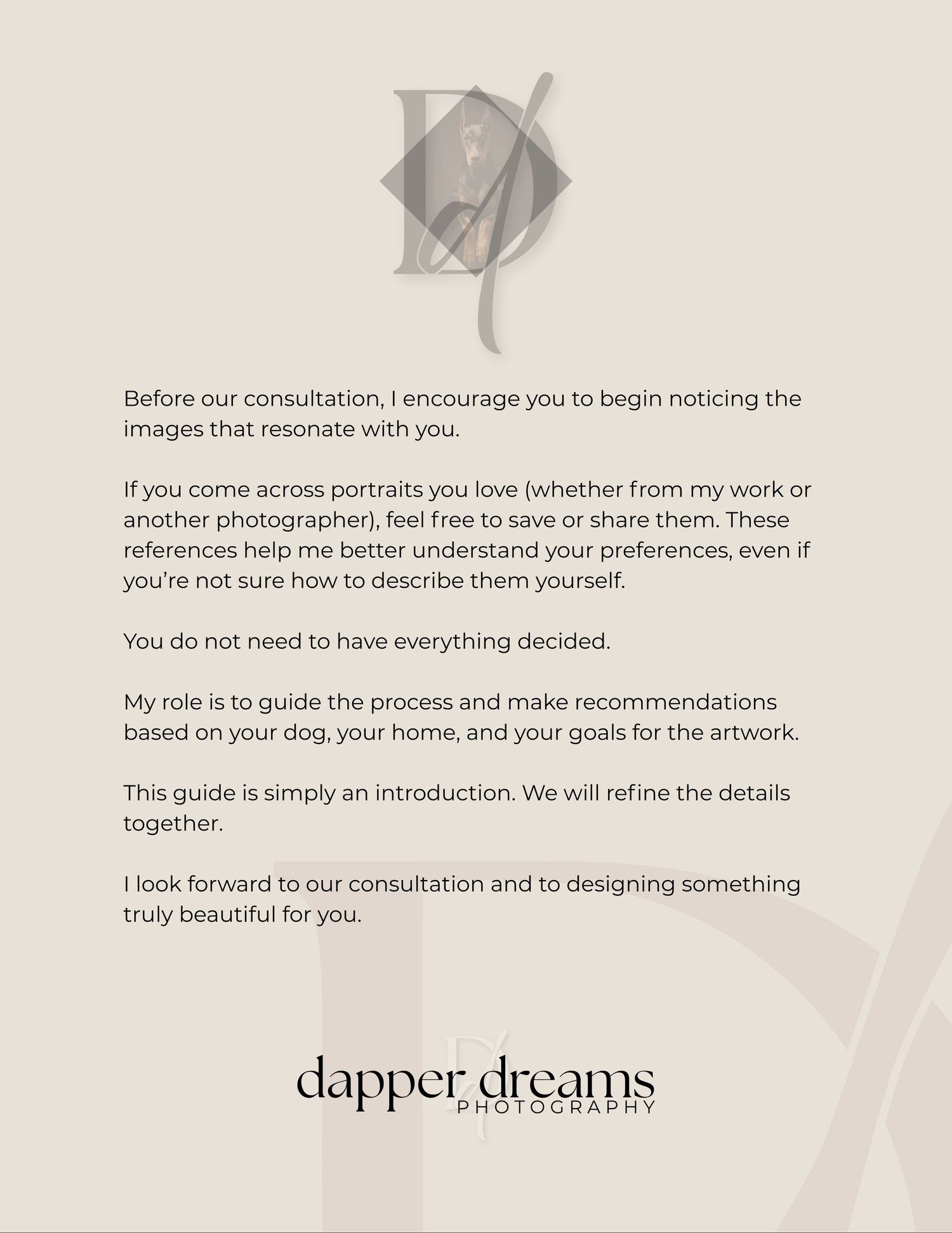 A business consultation guide page with gray logo and text explaining portrait preferences and design process for Dapper Dreams.
