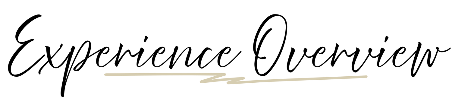 Handwritten title text reading 'Experience Overview' at top of white page.