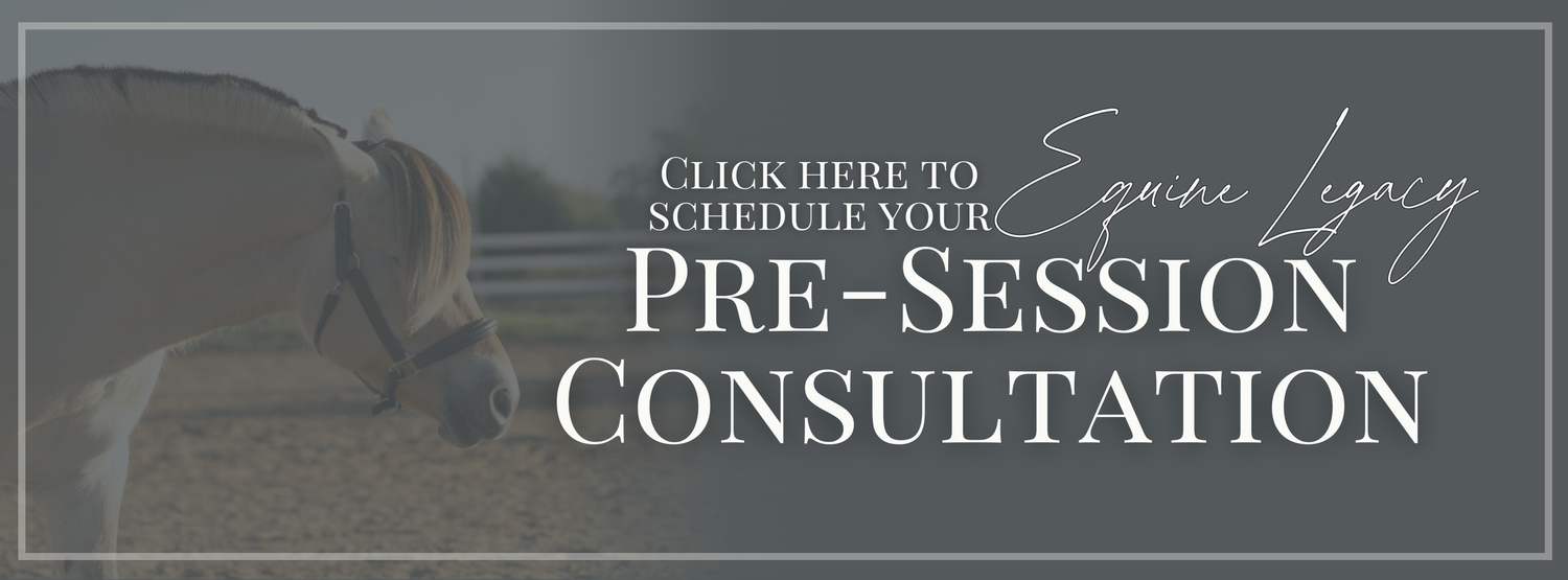 A professional photography consultation header with sunglasses and text overlay against a gray background.