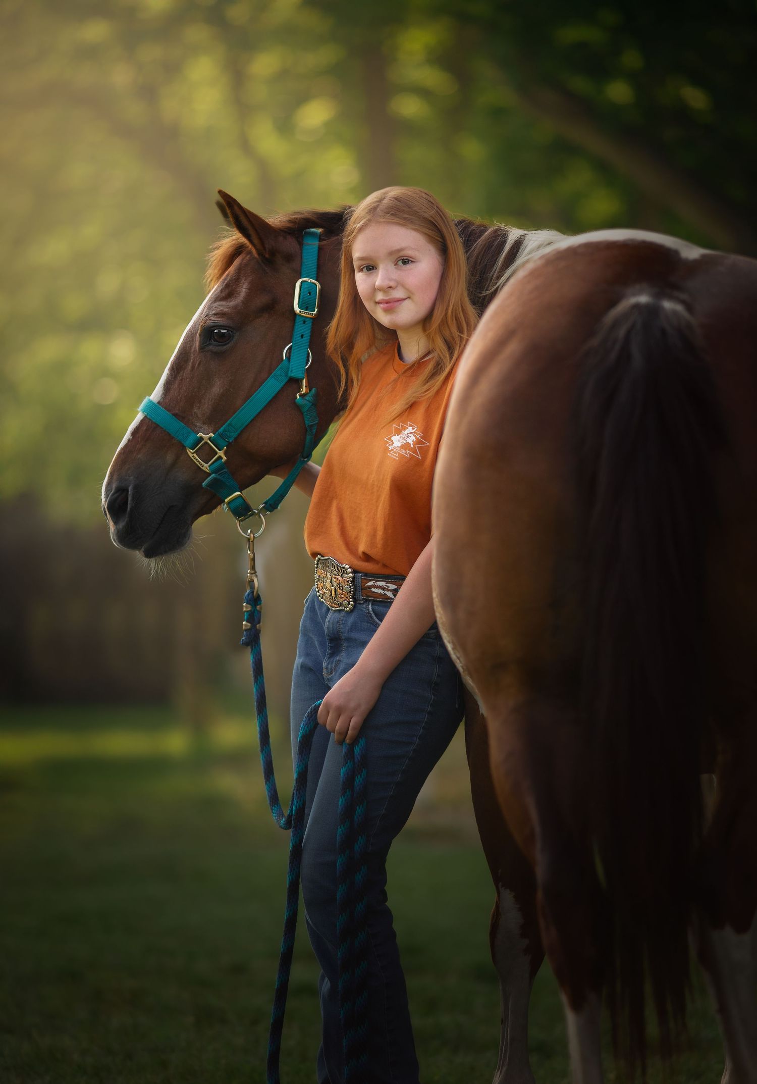 A brown horse with turquoise halter stands next to its companion outdoors in soft natural lighting.