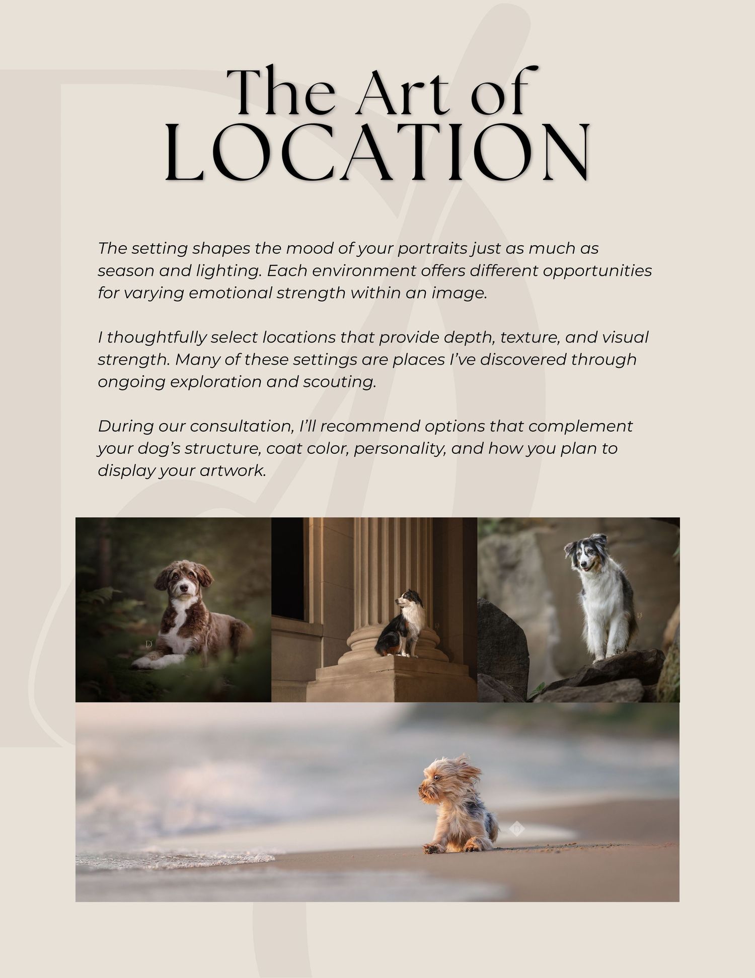 A collection of photography location scouting images showing outdoor settings and lighting techniques.