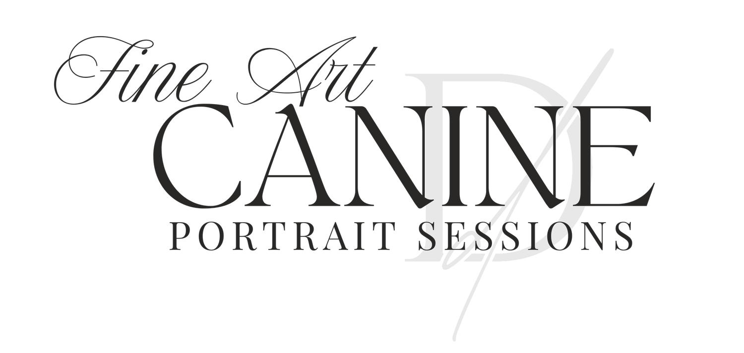 Elegant black and white text banner design for fine art canine portrait photography sessions.