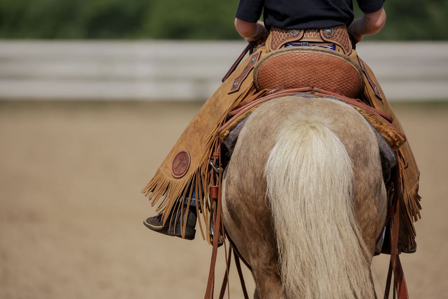 View from behind of a rider in brown leather gear mounted on a palomino horse with a flaxen mane in a riding arena.