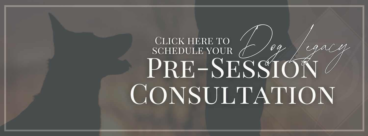 A grey website banner featuring elegant text for scheduling a pre-session consultation.