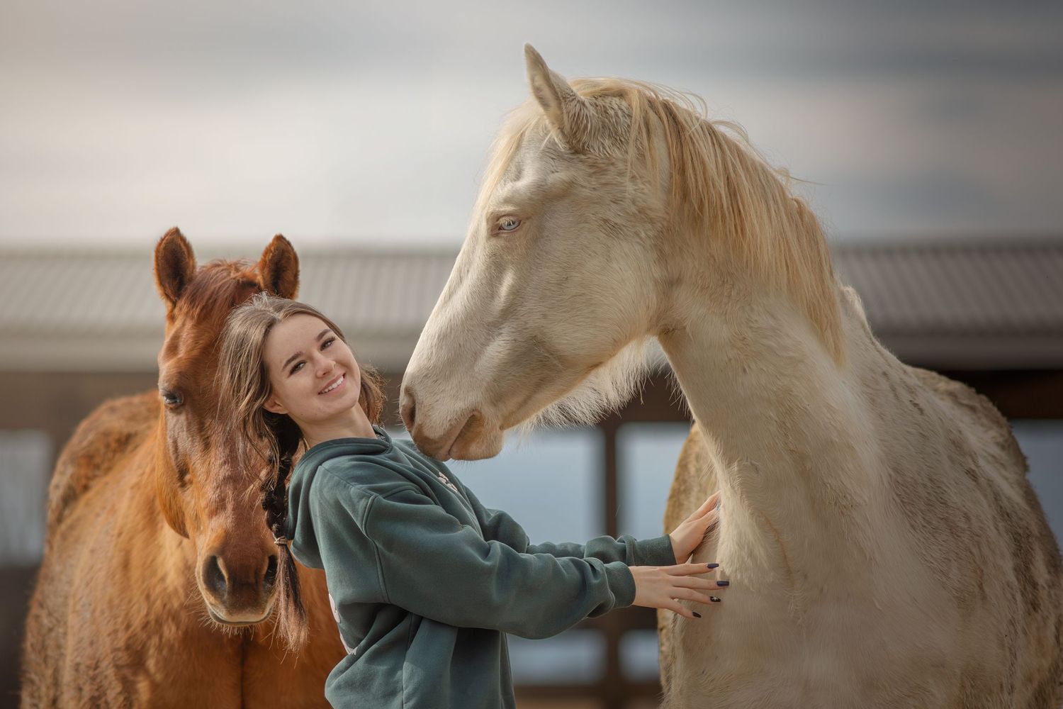 A person in a teal sweater shares a tender moment between two beautiful horses in soft natural lighting.