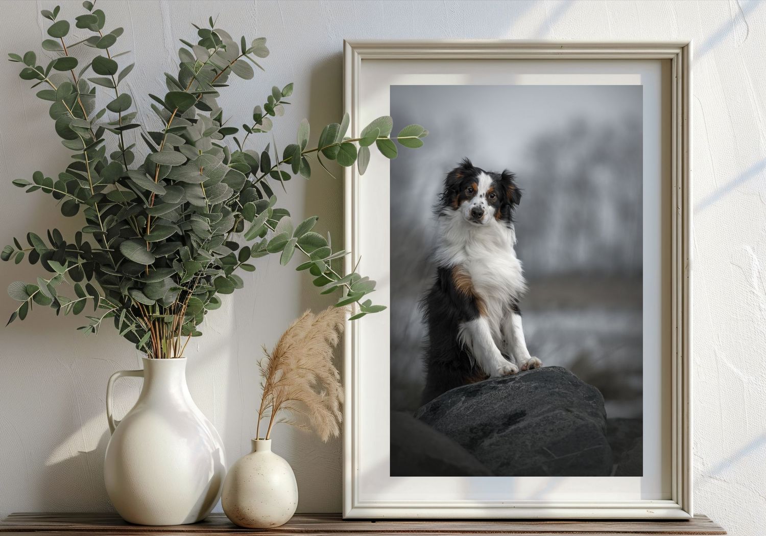 Framed black and white portrait of Border Collie dog displayed with white vases and eucalyptus branches.