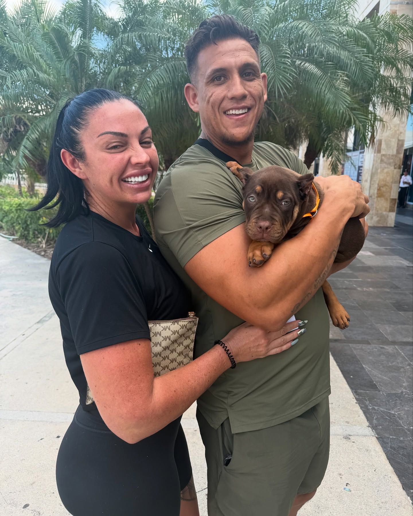 bully puppy after international flight nanny service with go fetch pet transport