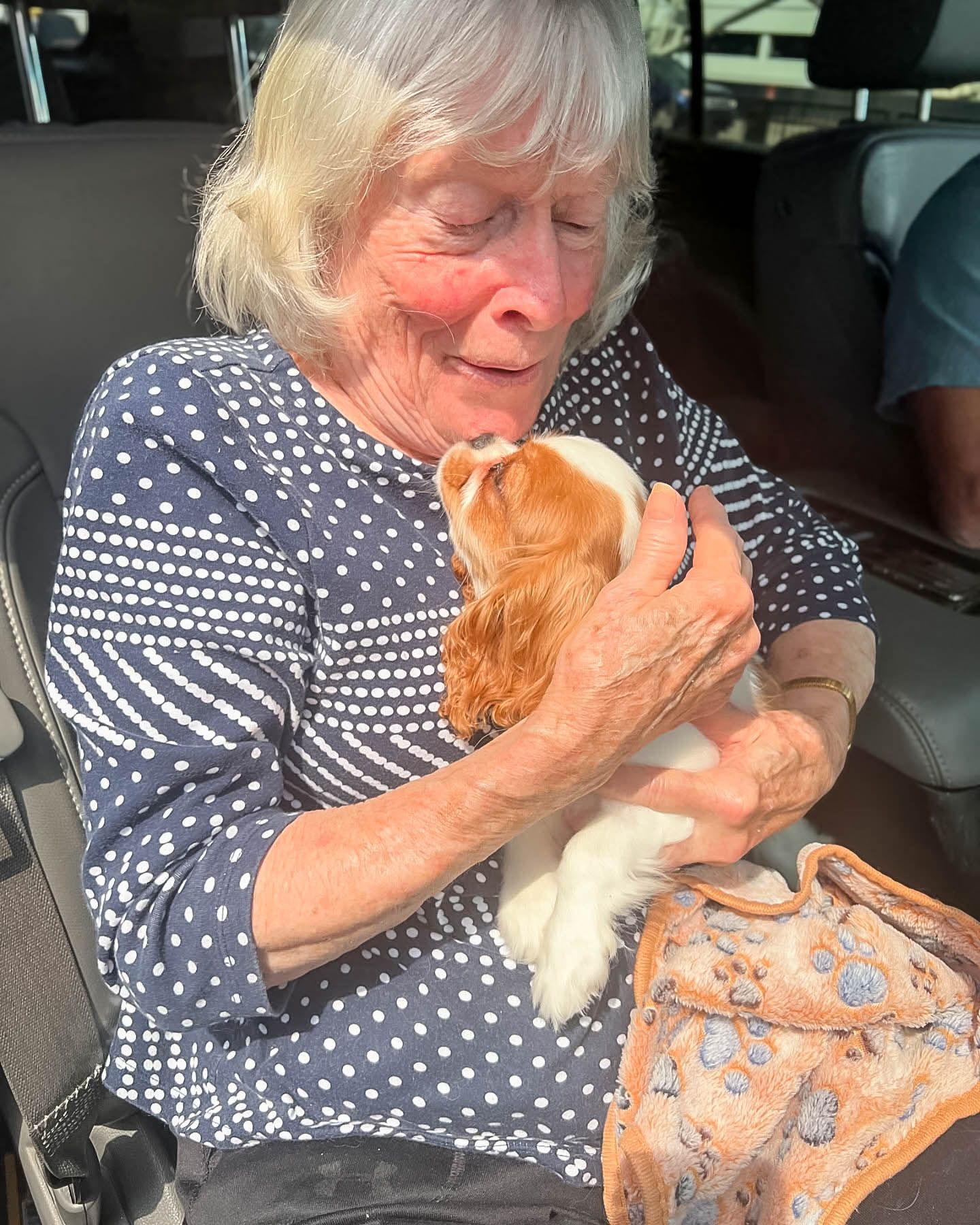 Elderly woman tenderly holding a small Cavalier King Charles Spaniel puppy while seated in a car.