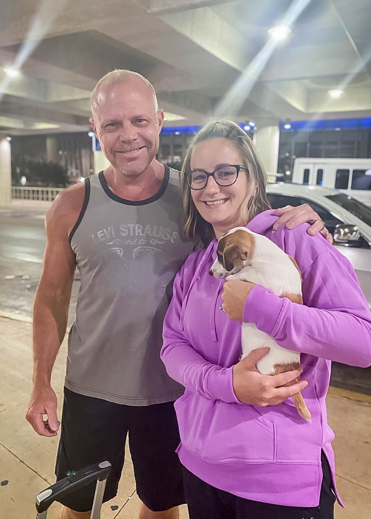 miniature pinscher after flight nanny service with go fetch pet transport
