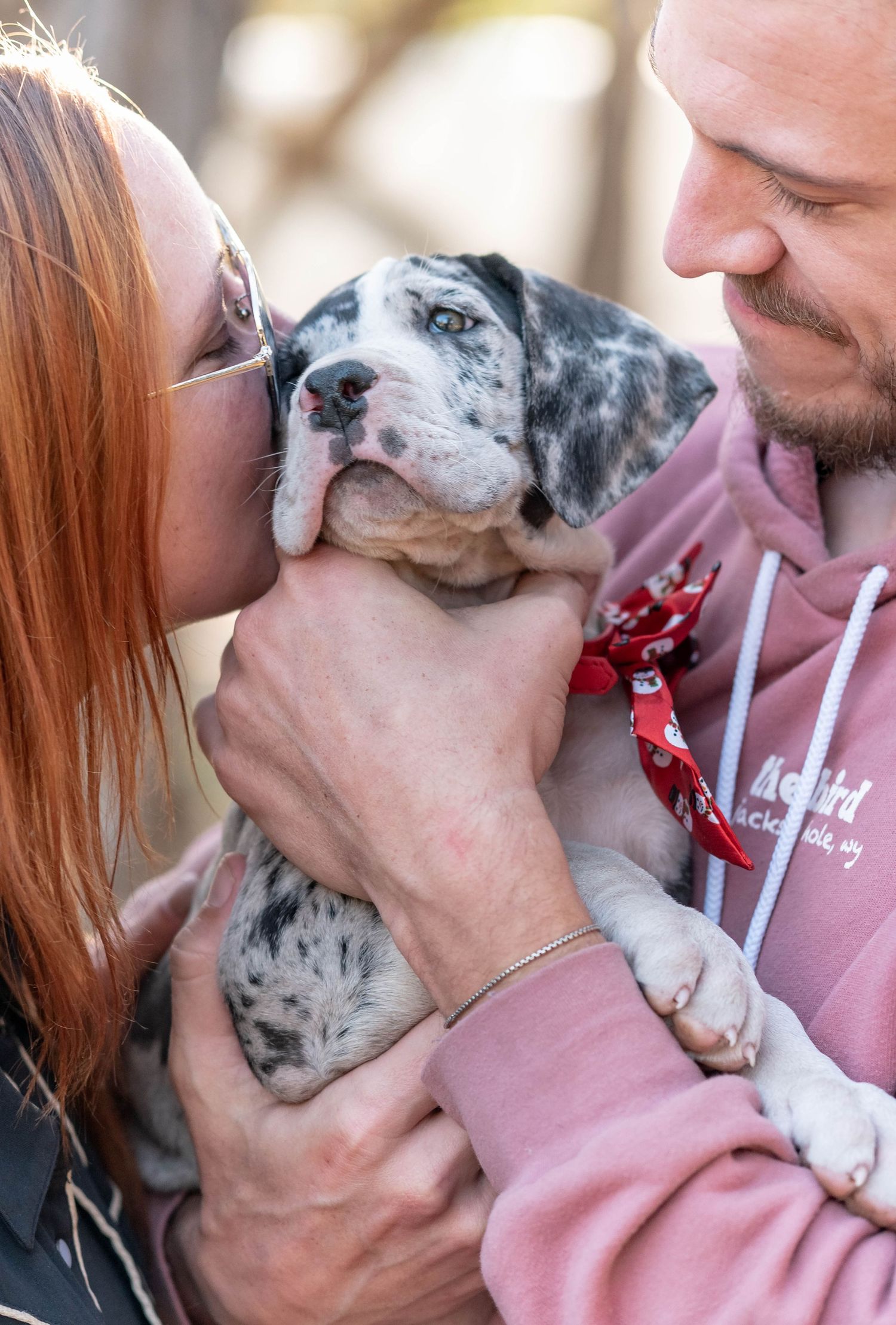 Couple kissing and cuddling an adorable merle bulldog puppy wearing a red bandana outdoors.