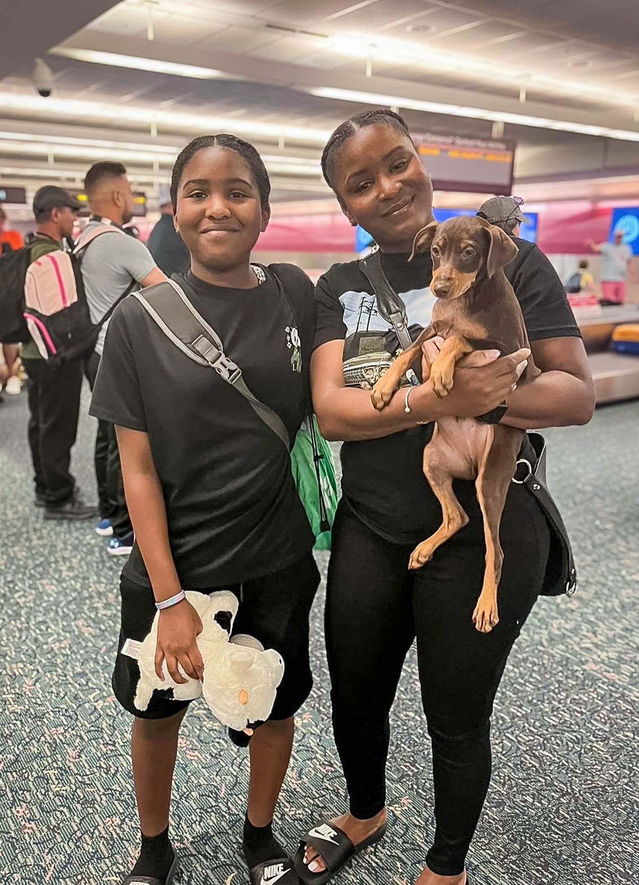 miniature pinscher after flight nanny service with go fetch pet transport