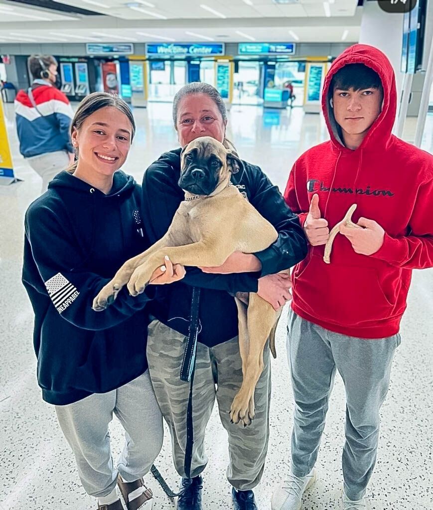 Three people at airport terminal smiling, woman in center holding a fawn-colored Mastiff puppy.