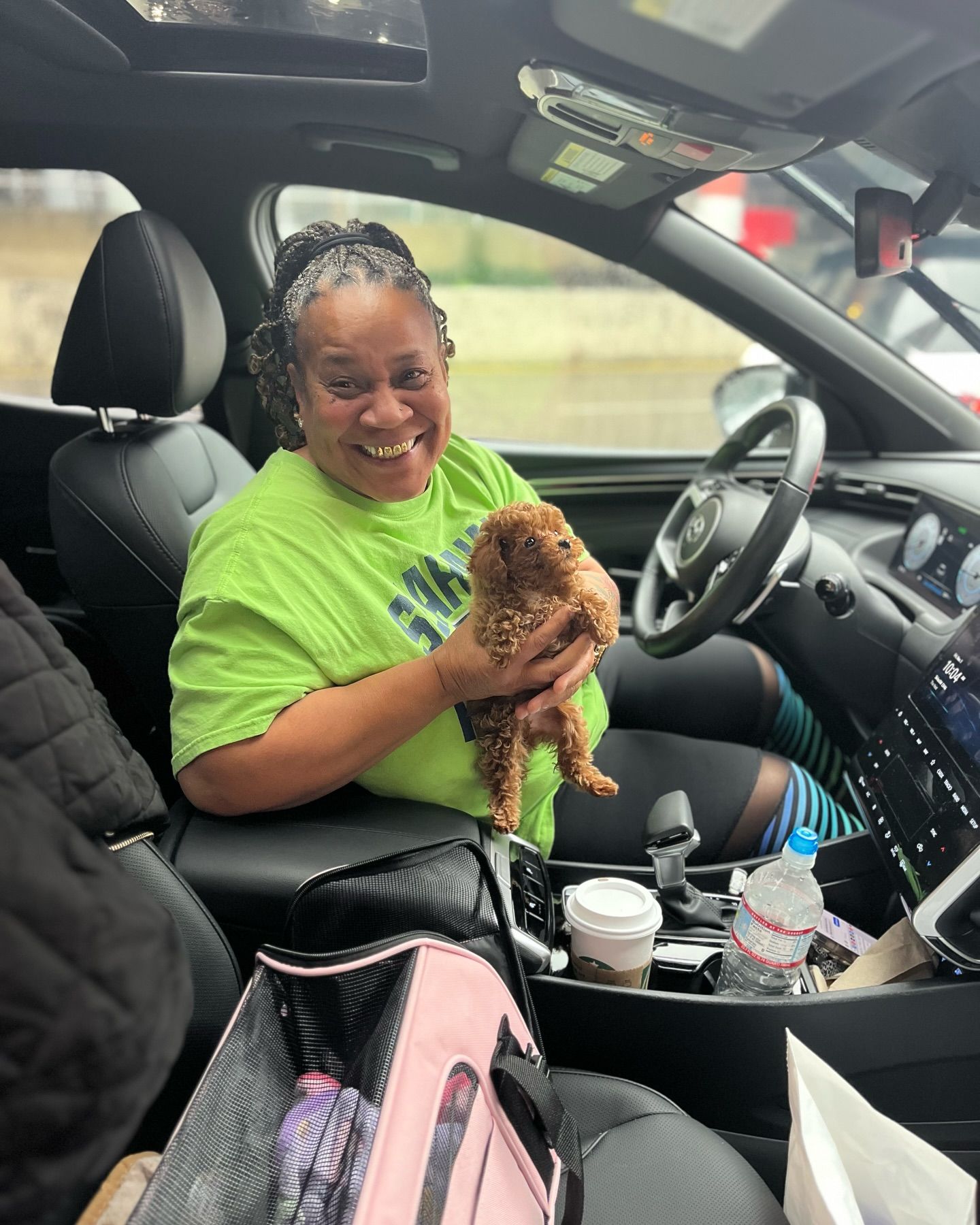 toy poodle after flight nanny service with go fetch pet transport