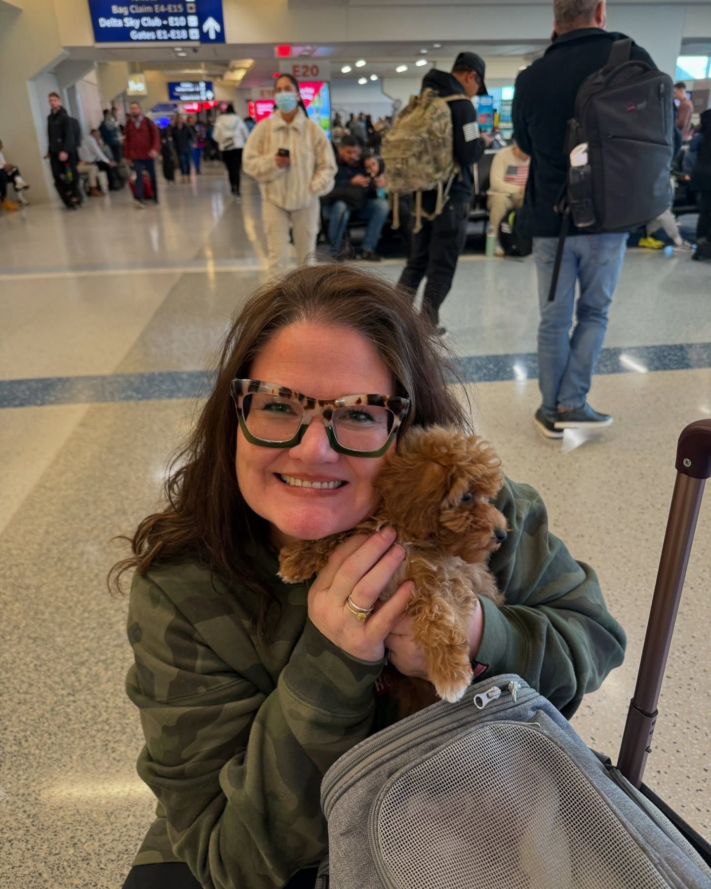 toy poodle puppy during flight nanny service with go fetch pet transport