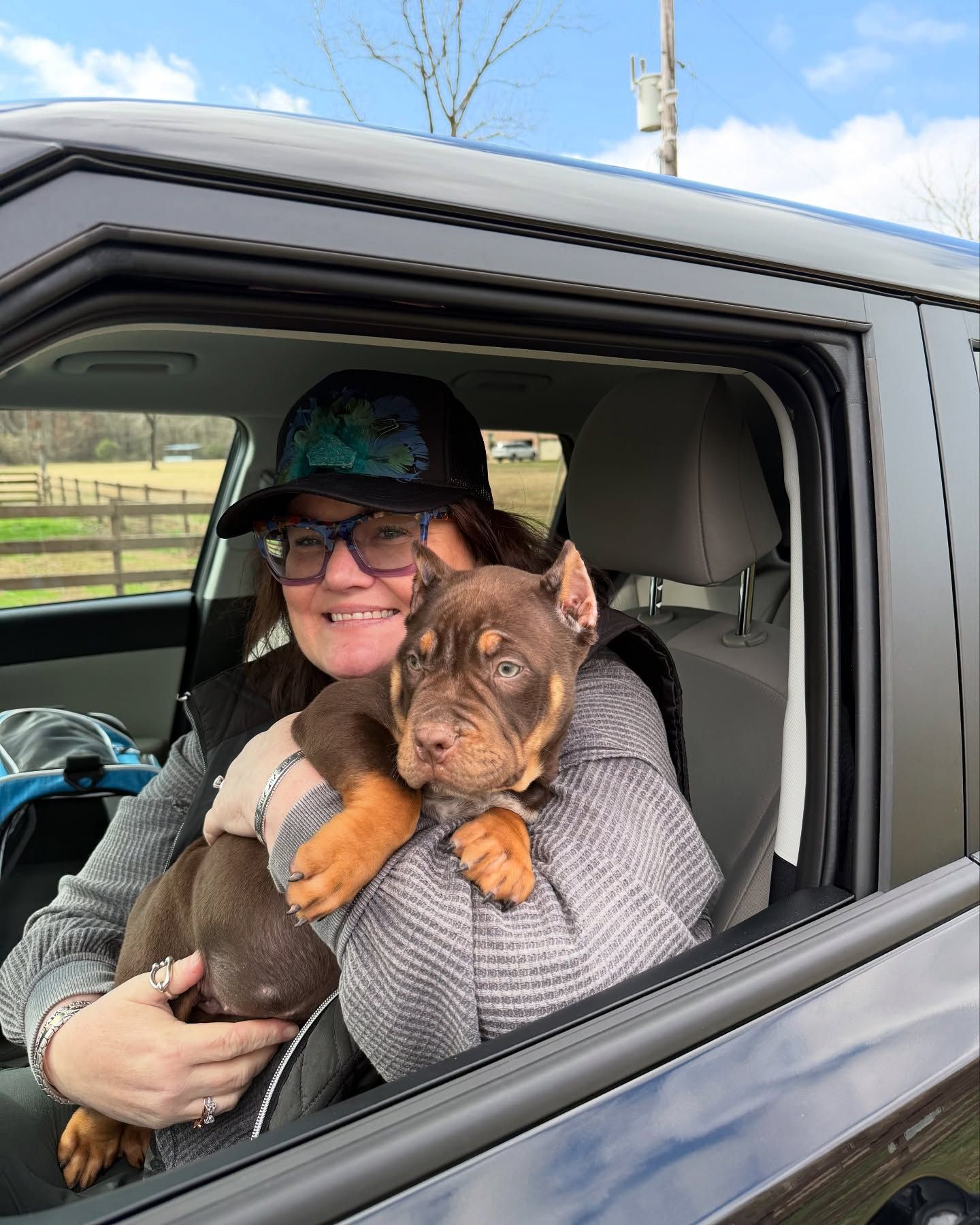bully during ground transport with go fetch pet transport