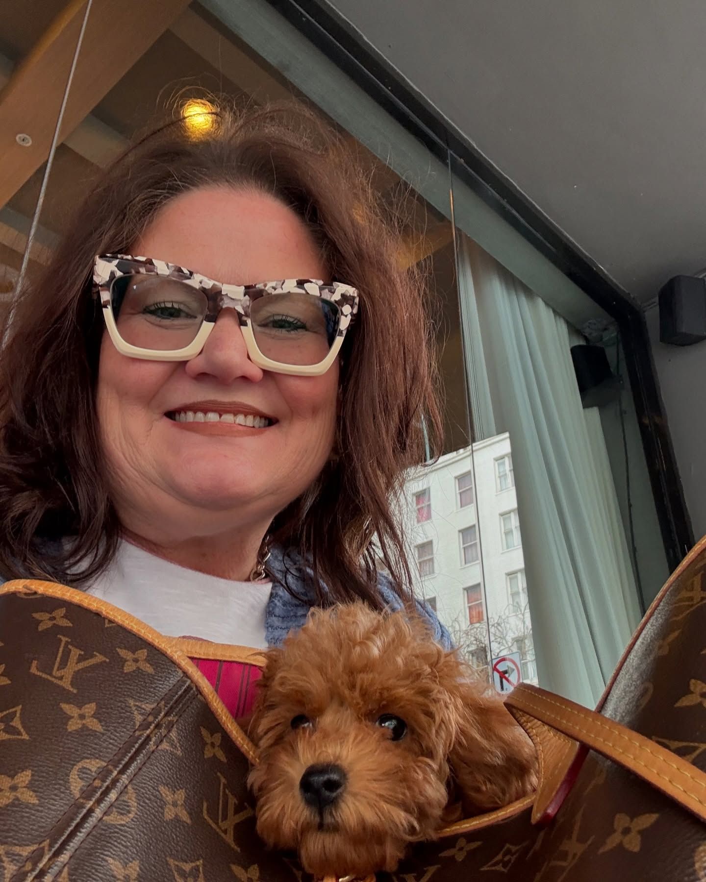 toy poodle puppy after flight nanny service with go fetch pet transport