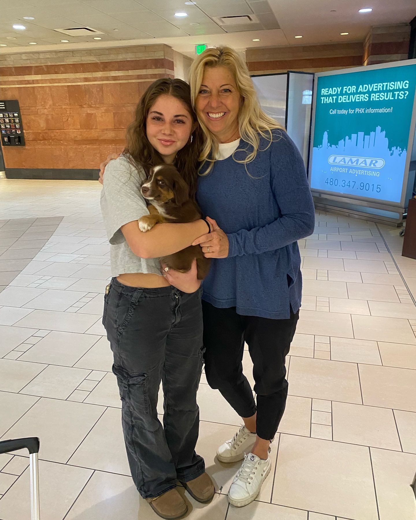 bernedoodle puppy after flight nanny service with go fetch pet transport