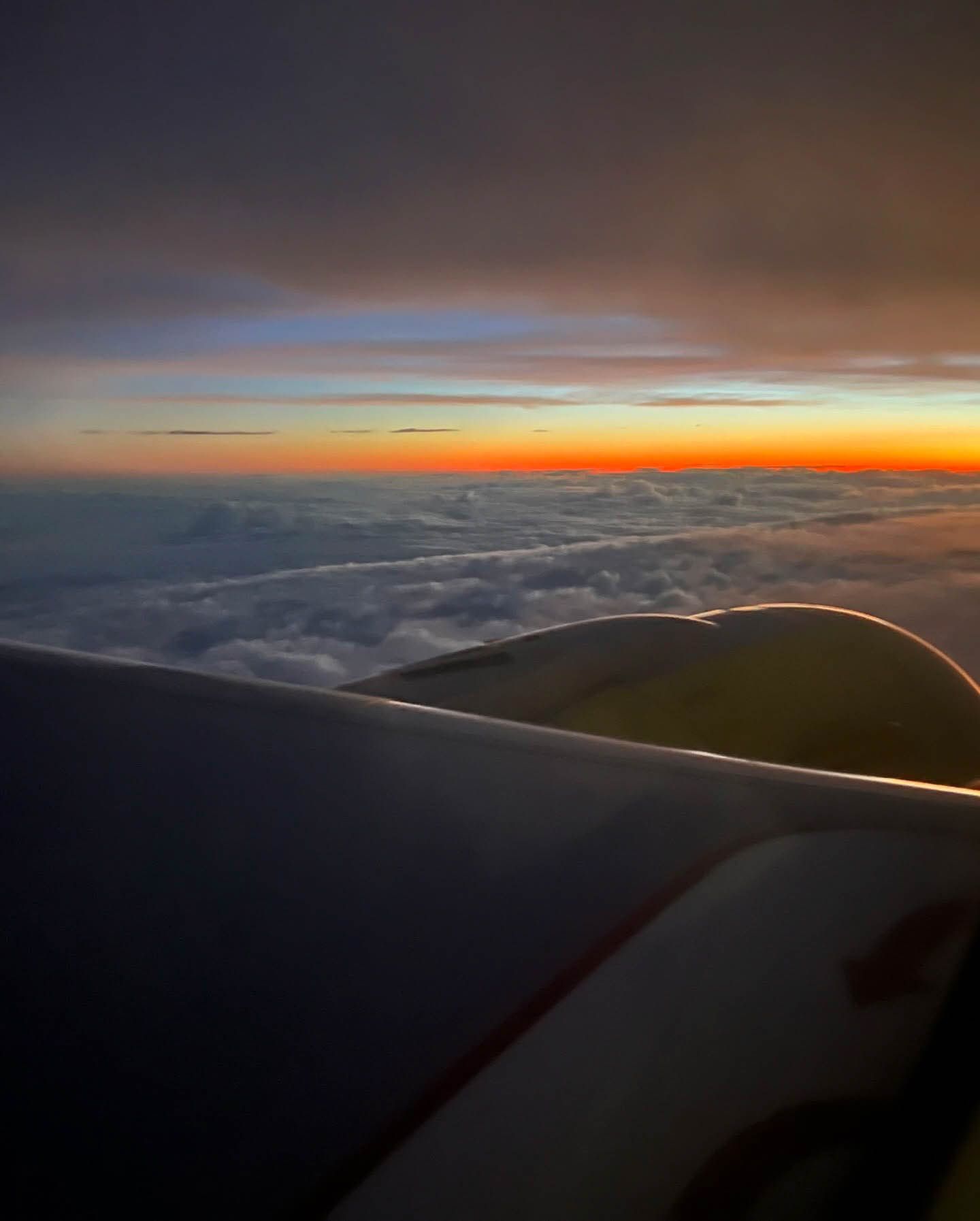 outside airplane window with gorgeous skyline during flight nanny service with go fetch pet transport