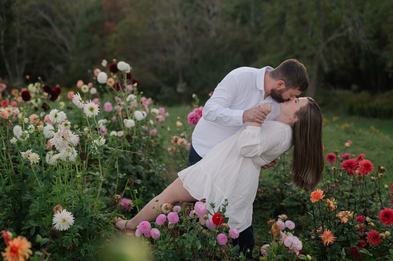 Romantic engagement photos in a lush garden filled with colorful dahlias at sunset.