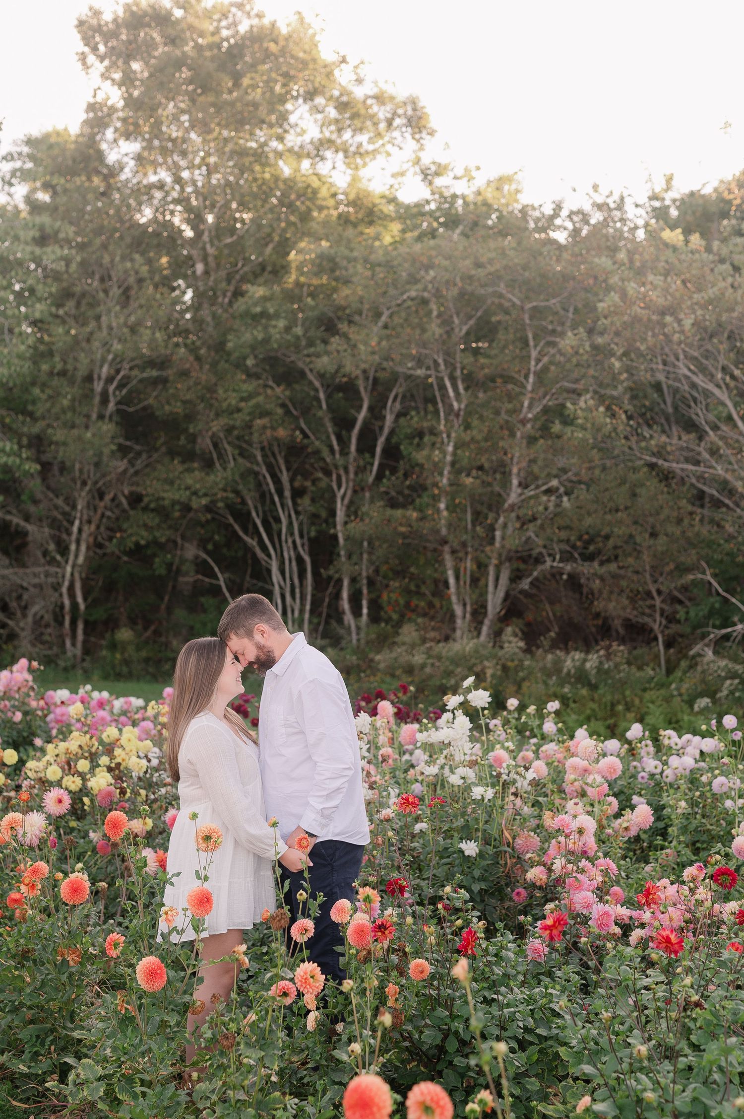 Couple walking through a vibrant garden filled with pink and coral dahlias at sunset.