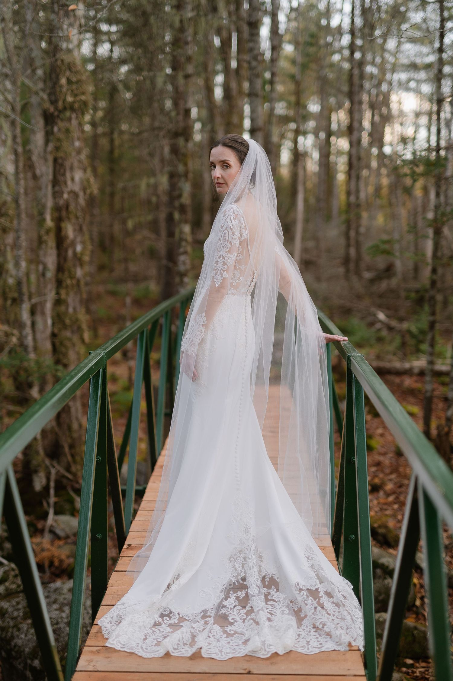A bride in a lace-detailed dress and veil stands on a green metal bridge in a wooded setting.