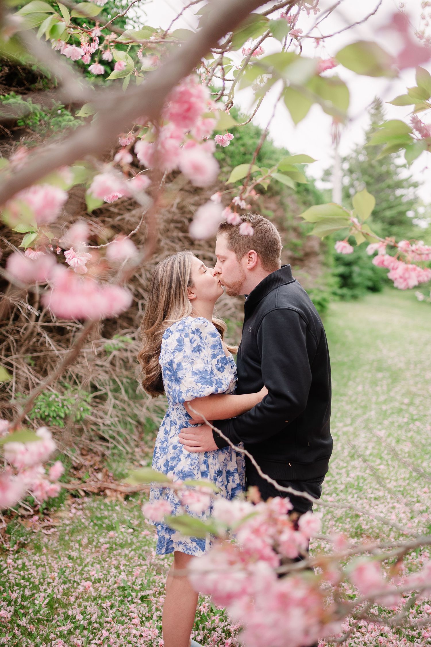 Tender moment captured between couple under blooming cherry blossom branches.