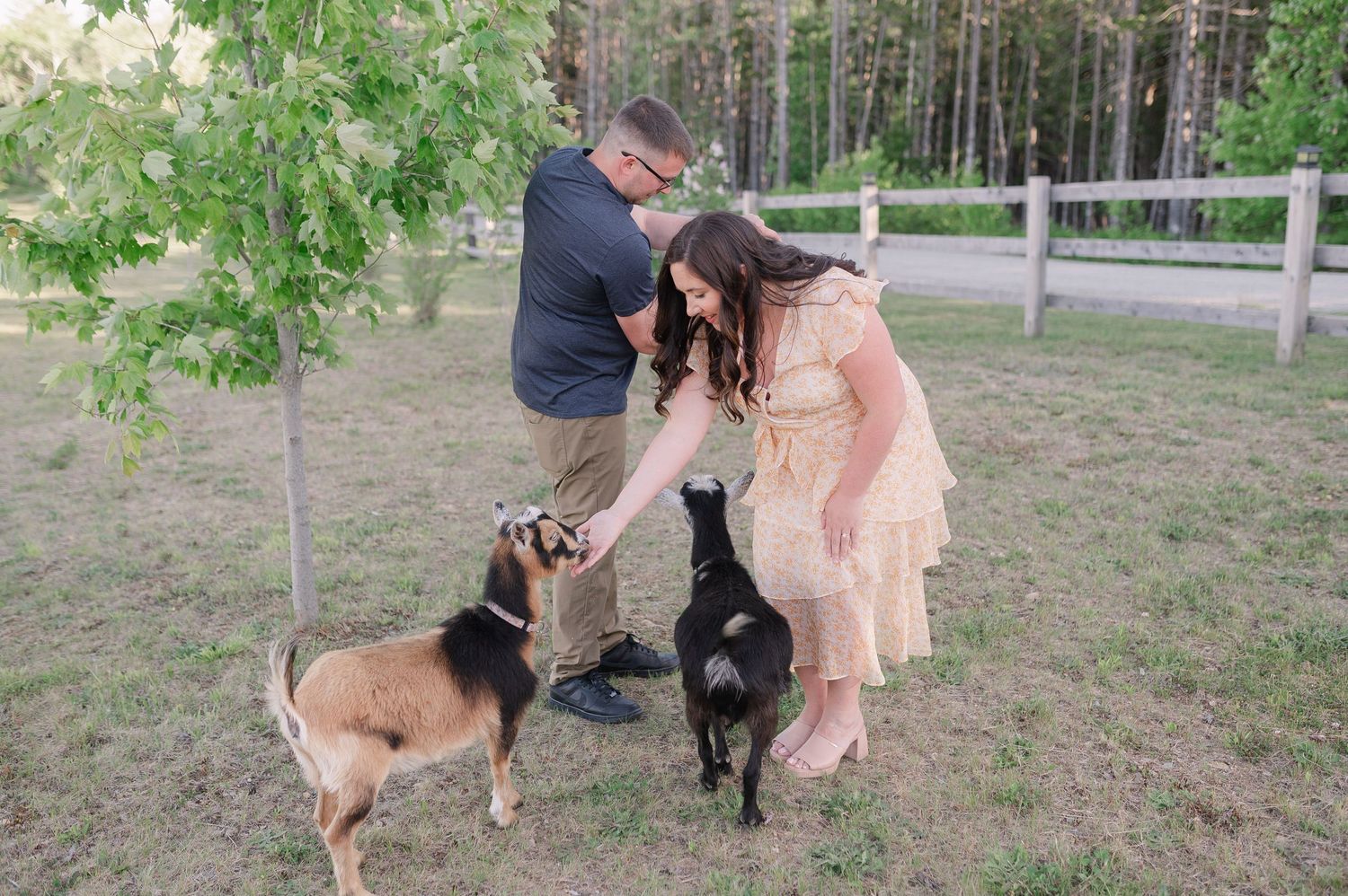 A couple and their goats enjoy time together in a fenced pasture.