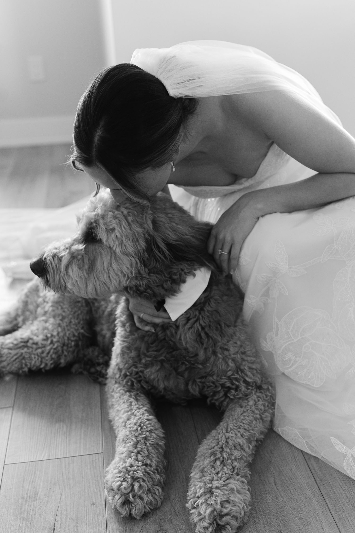 Sweet moment between a fluffy gray dog and someone in white on light wooden floors.