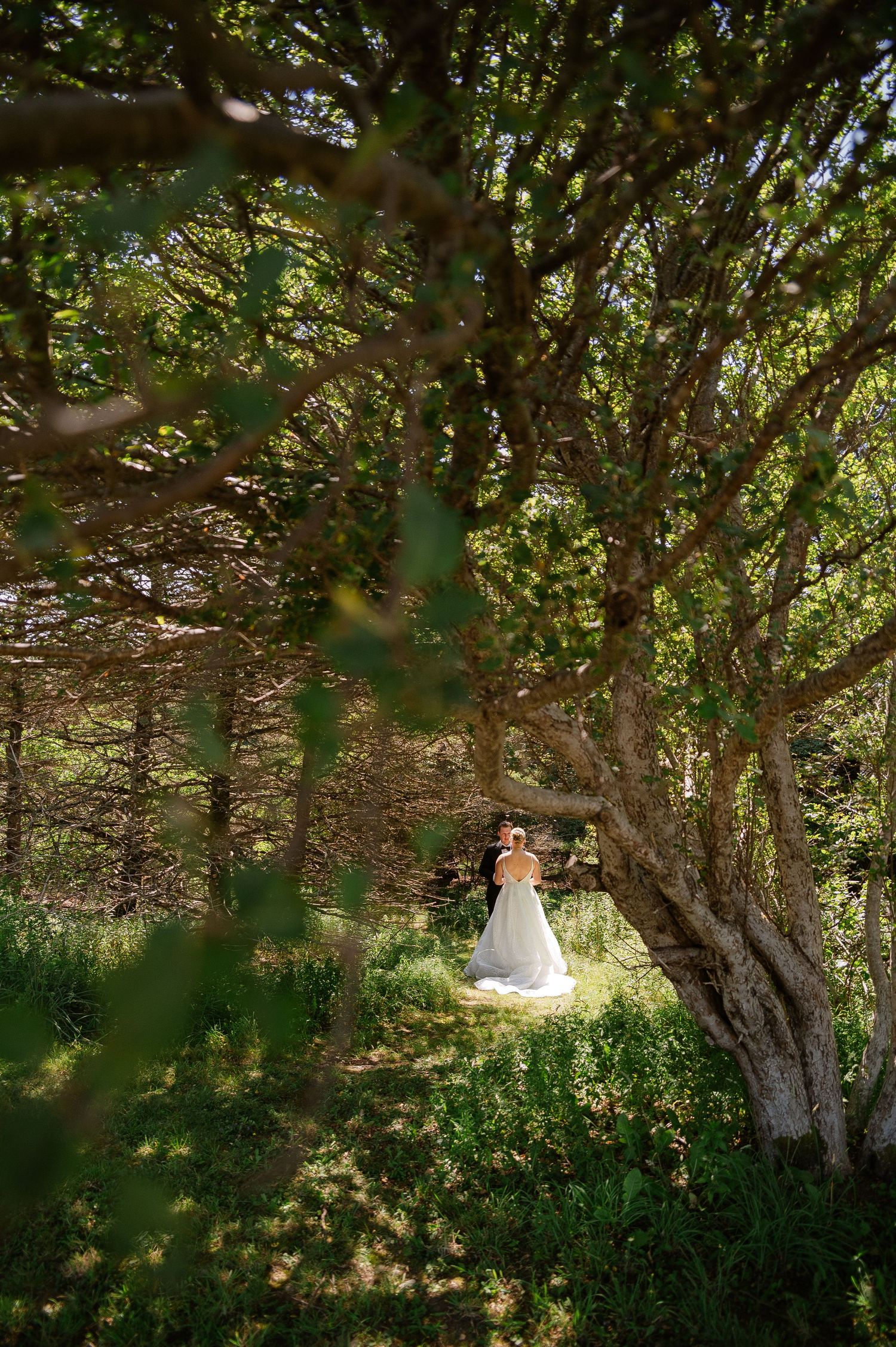 Wedding portraits taken under blooming trees with natural sunlight filtering through branches.