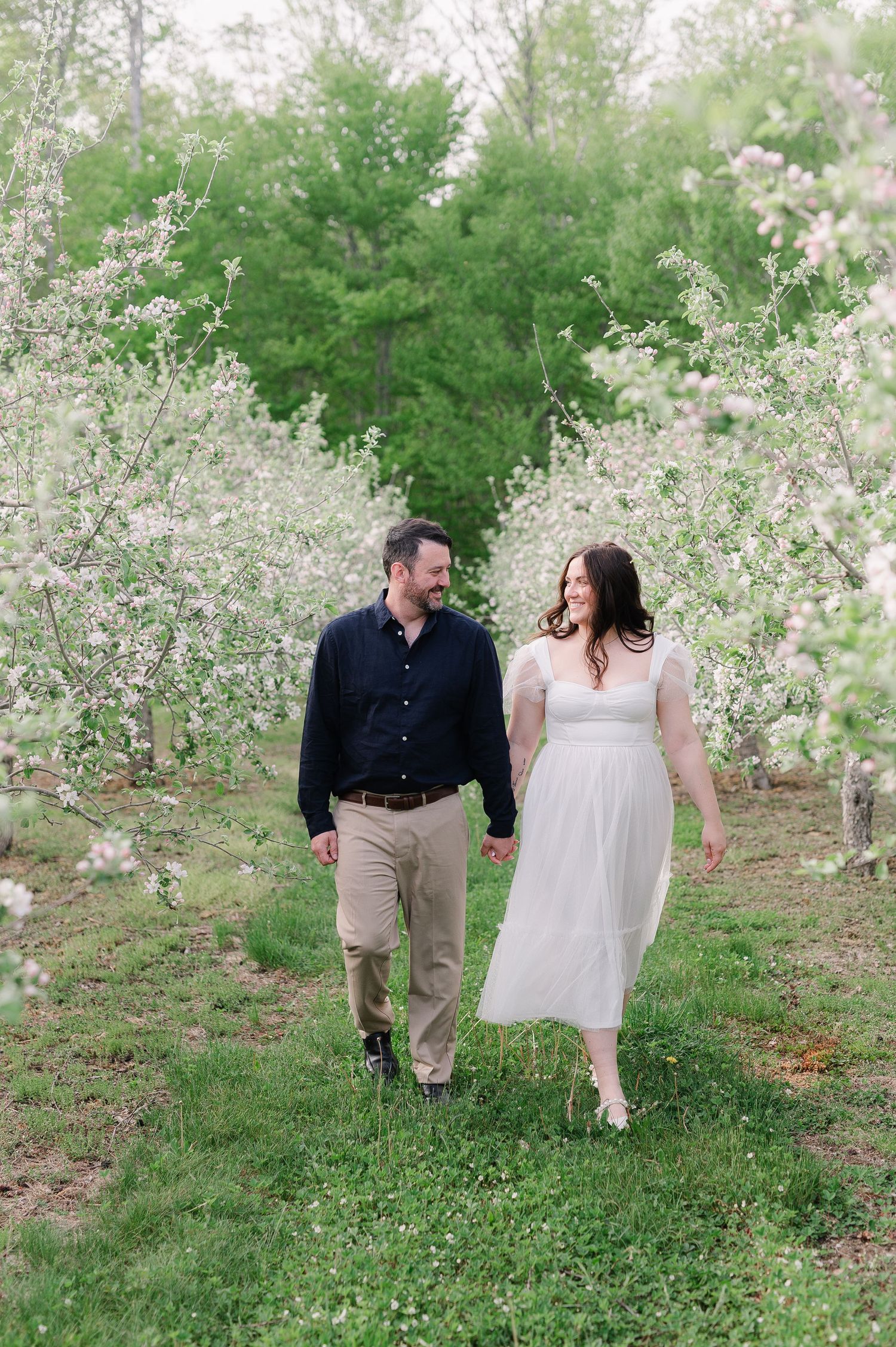 Couple walking hand in hand through a spring orchard with white blossoms.