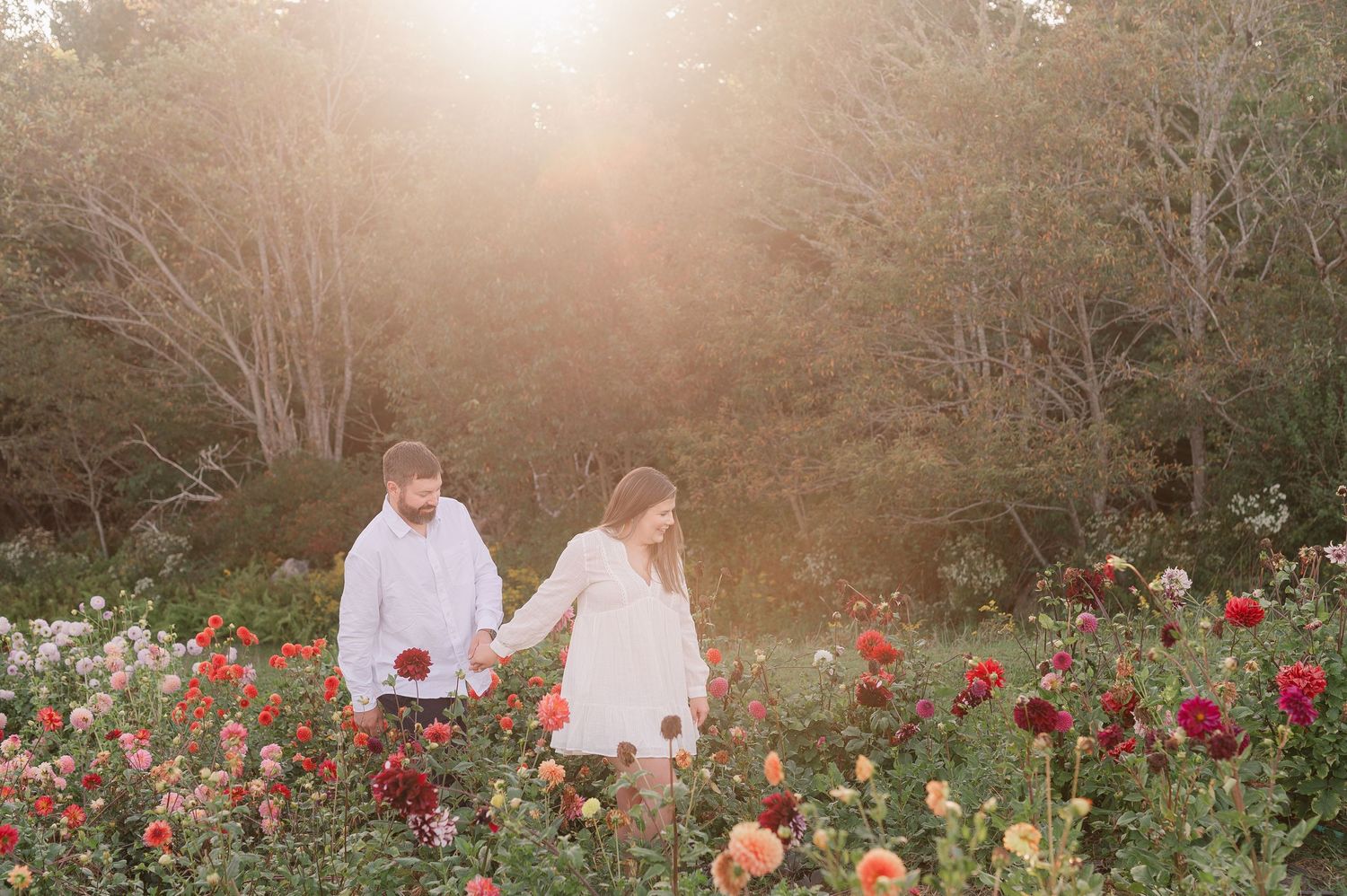 Romantic sunset photoshoot in a garden filled with blooming dahlias and wildflowers.