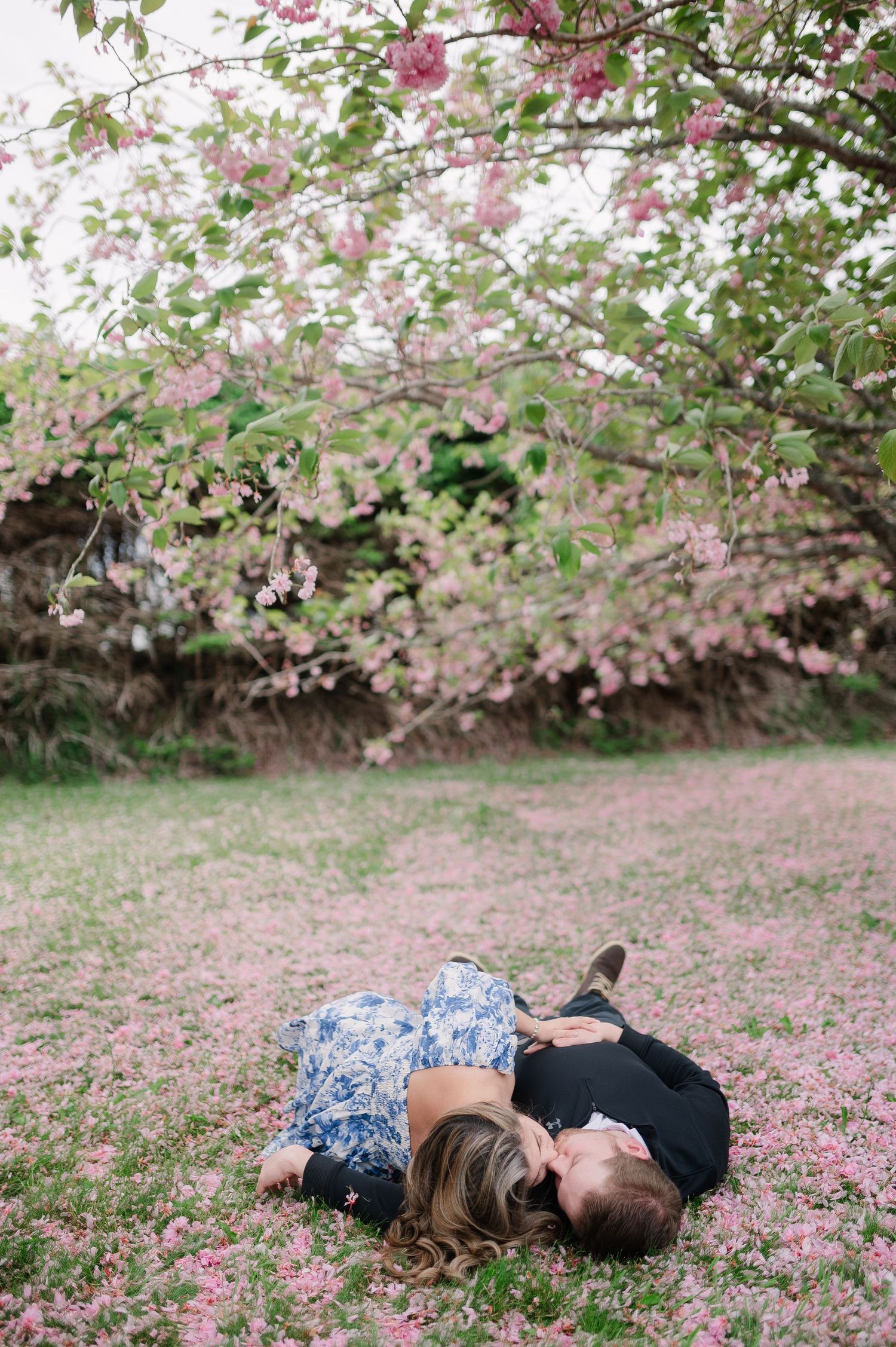 Couple lying in fallen cherry blossom petals during spring photoshoot.