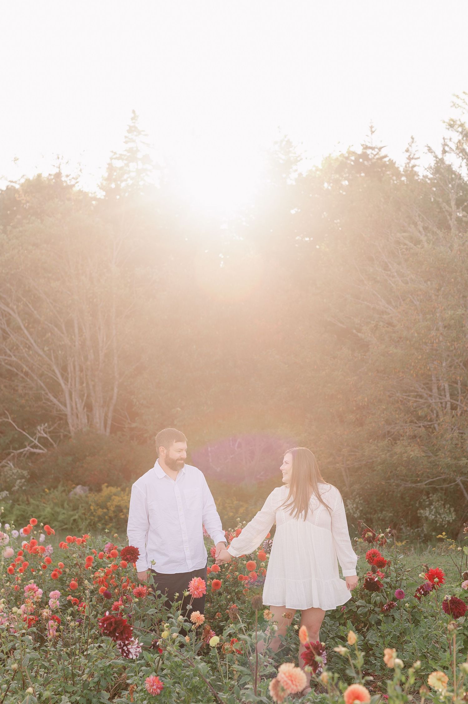 Couple strolling hand in hand through a garden of colorful dahlias at golden hour.