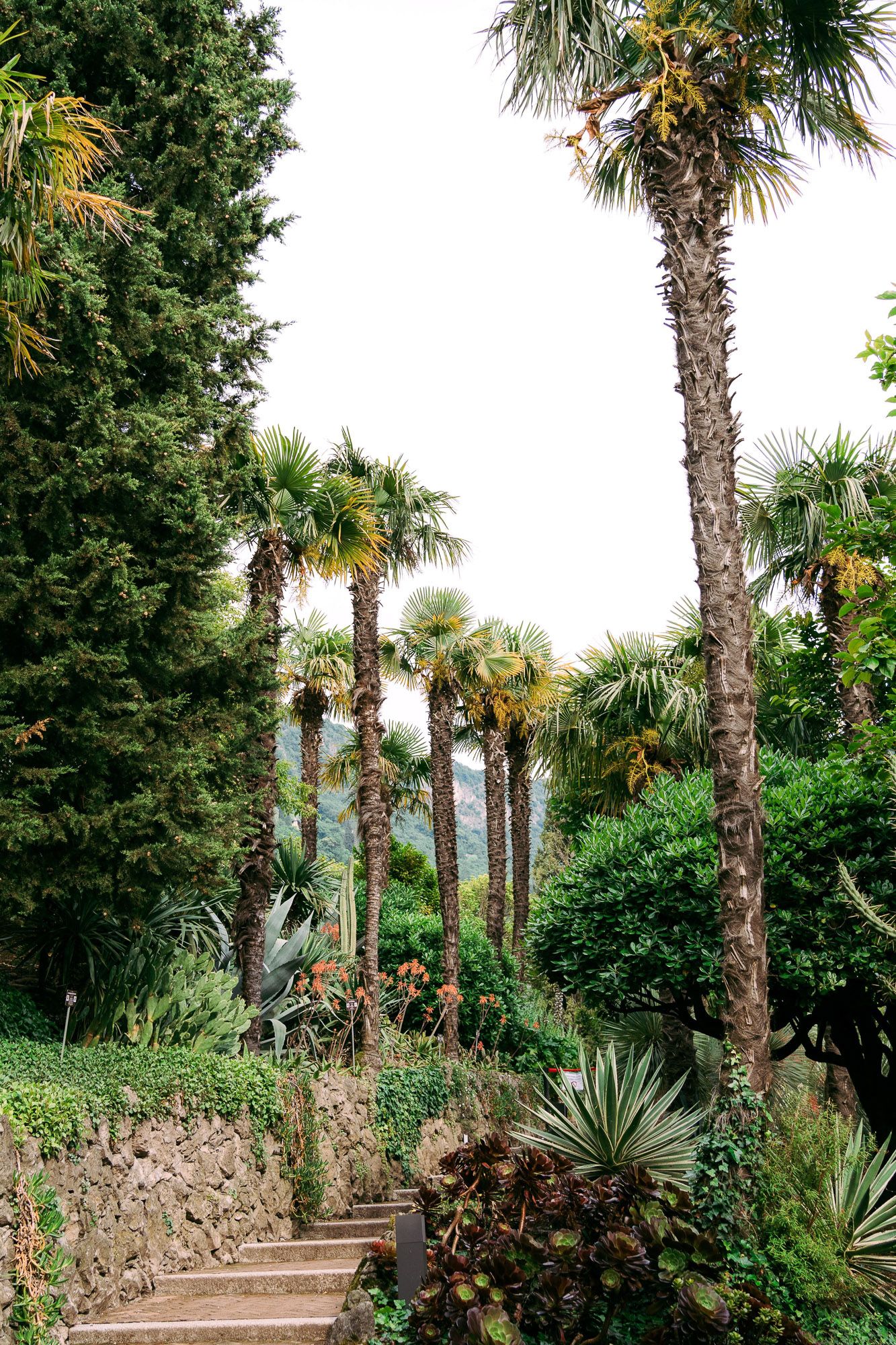 Stone steps wind through a tropical garden with tall palm trees and lush greenery against a cloudy sky.