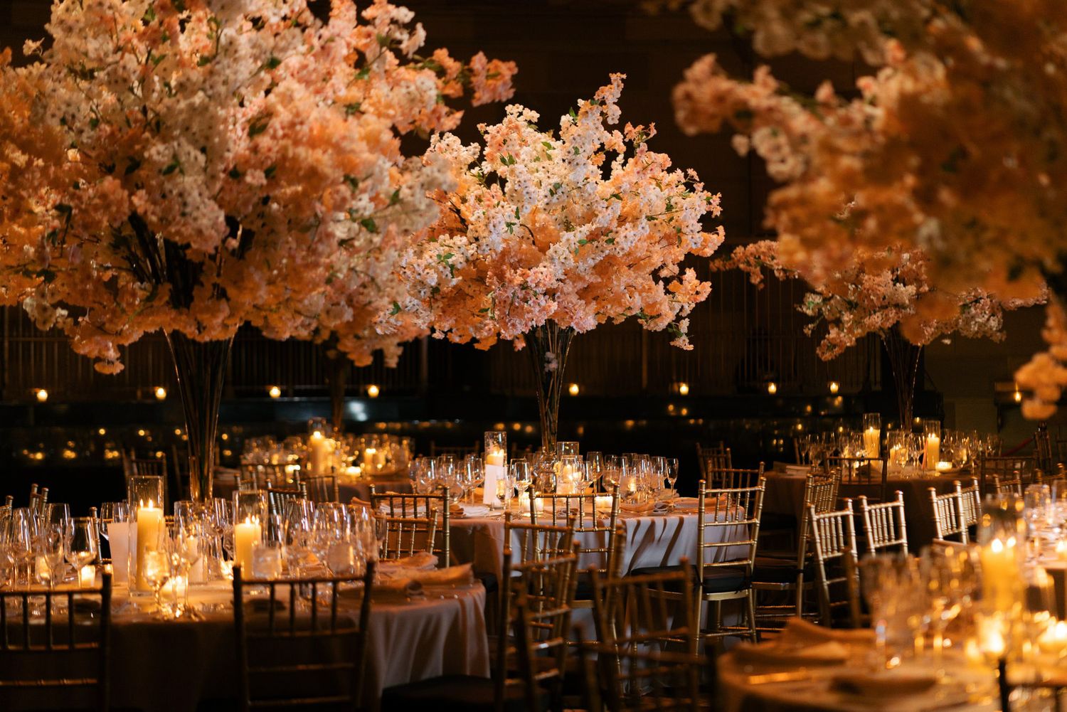 Romantic outdoor wedding reception at night with string lights and cherry blossoms illuminated in warm amber glow.