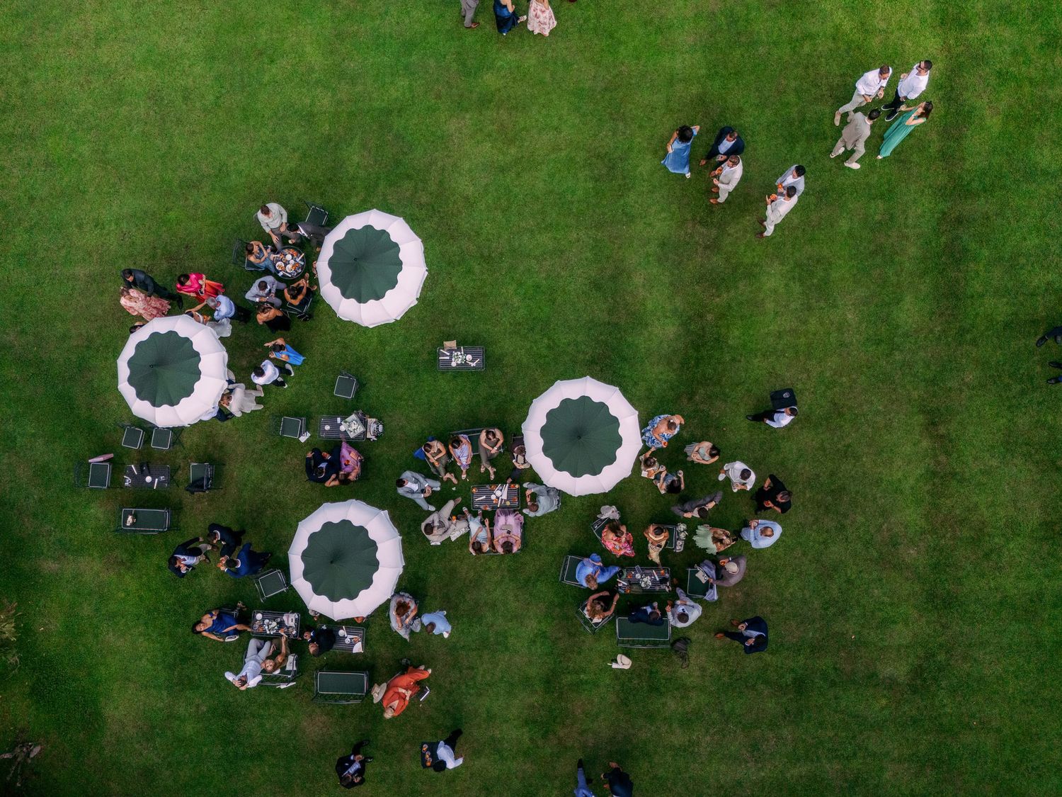 Aerial view of wedding guests arranged in a circular formation on a lush green lawn.