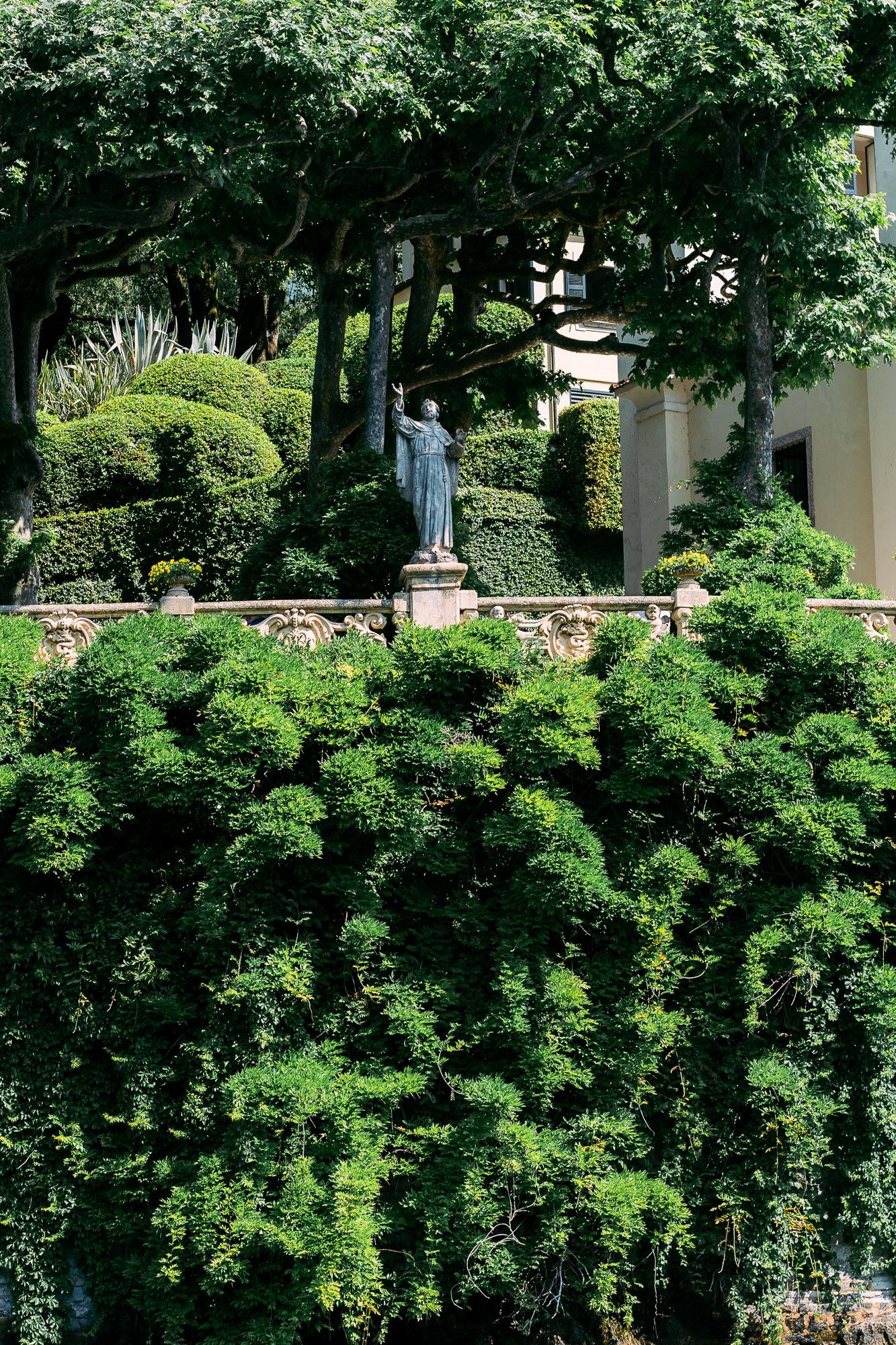 Lush green trees and foliage create a natural privacy screen along a garden wall in a landscaped setting.