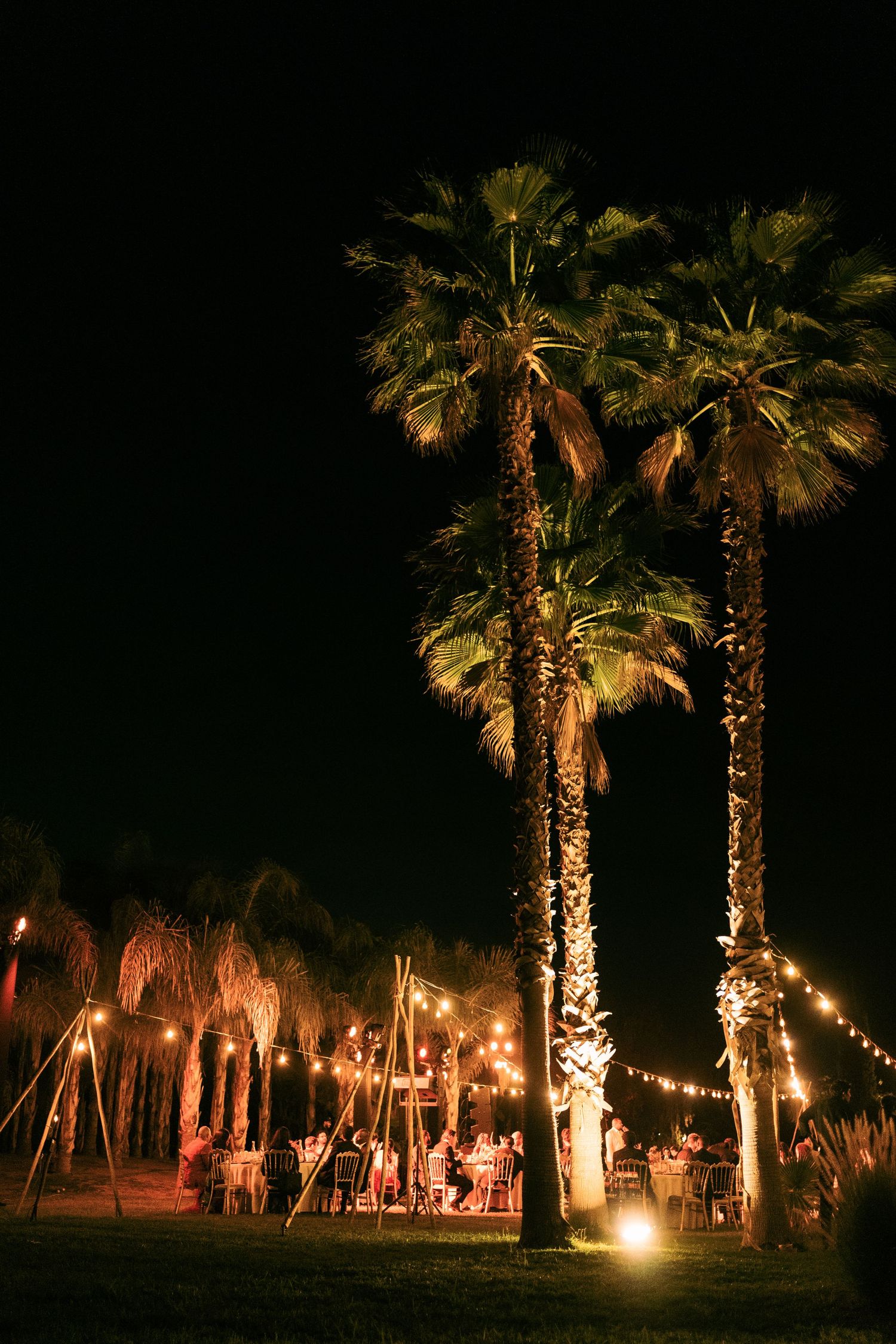 Palm trees illuminated by string lights create a magical nighttime wedding atmosphere.