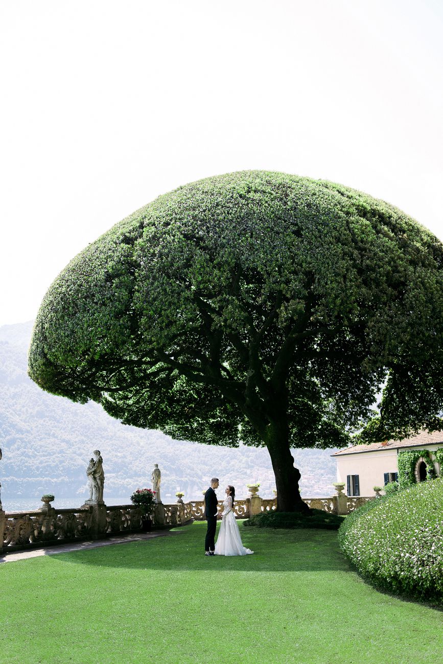 A wedding ceremony takes place under a majestic umbrella-shaped tree by a lakeside villa.