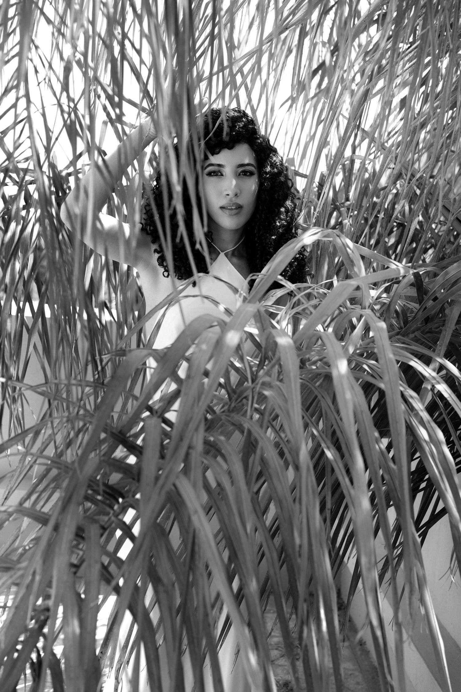 Dramatic artistic portraits with a moody feel framed through tropical foliage.