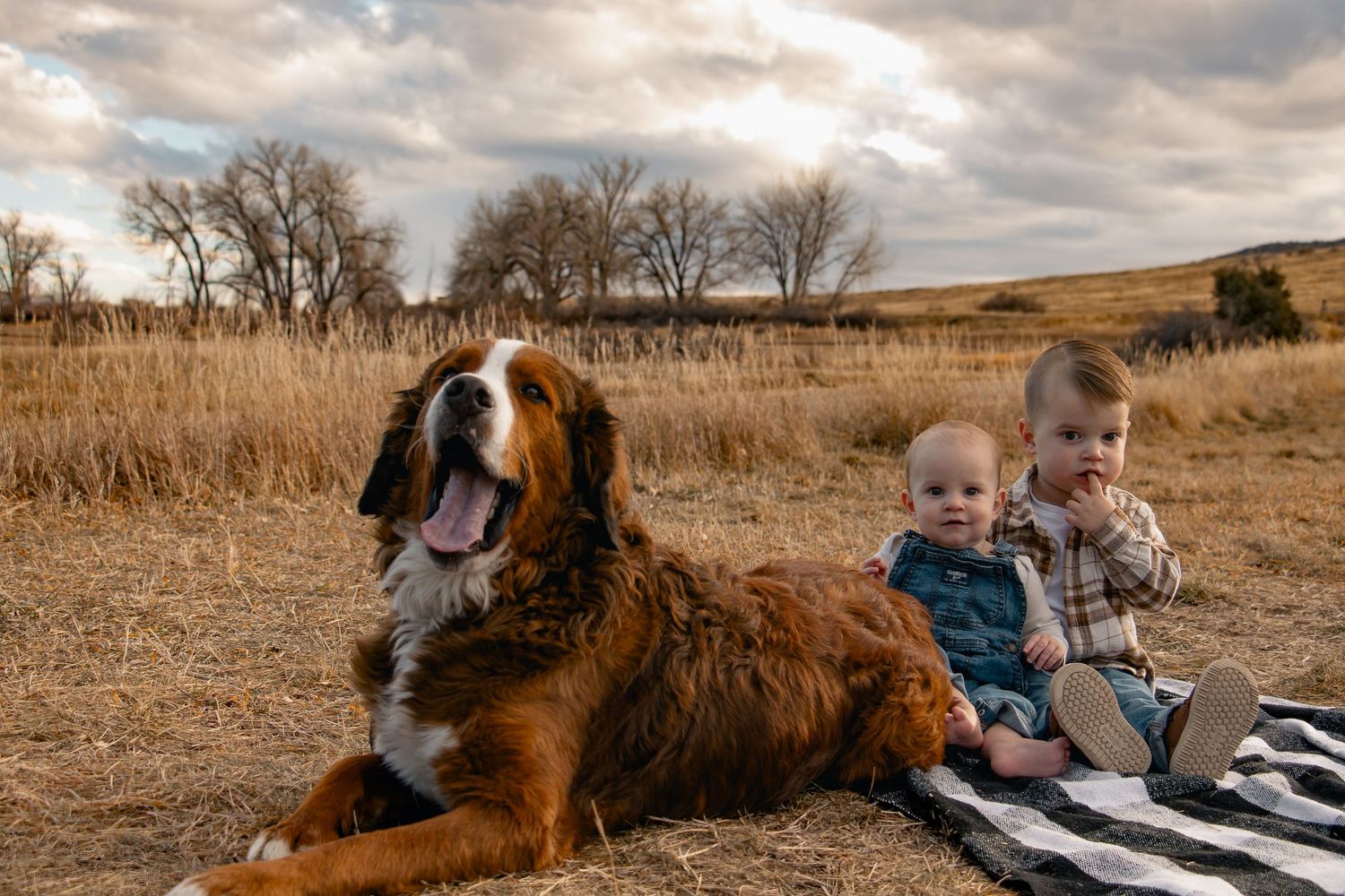Family and dog relaxing on a blanket in a golden autumn field during sunset.