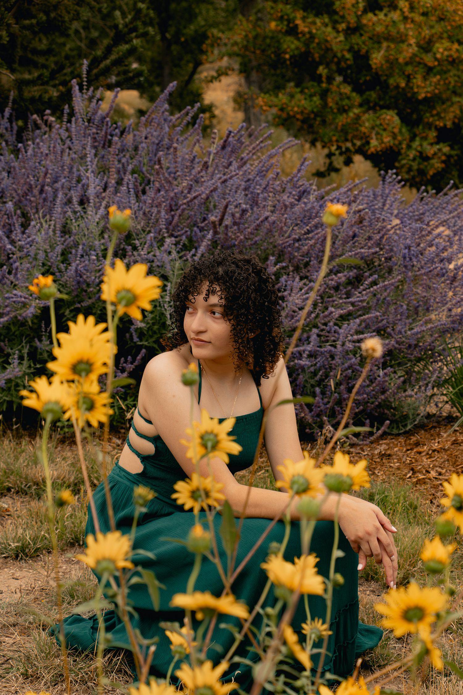 Artful portrait series among vibrant yellow sunflowers and purple lavender blooms in a garden setting.