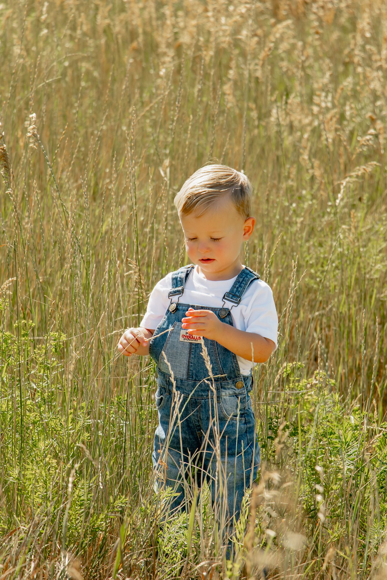 Small child wearing denim overalls stands in tall wildflower meadow on sunny afternoon.