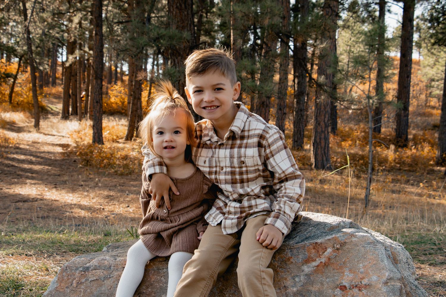 Family enjoying a golden autumn day together in a sunlit pine forest during sunset.