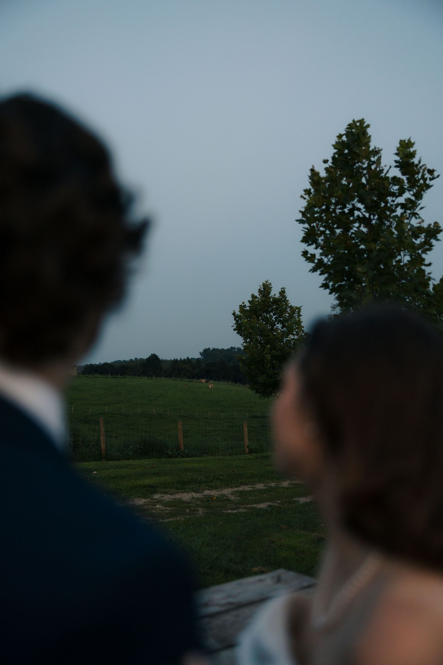 Bride and groom silhouetted against a twilight sky overlooking a serene green countryside field.
