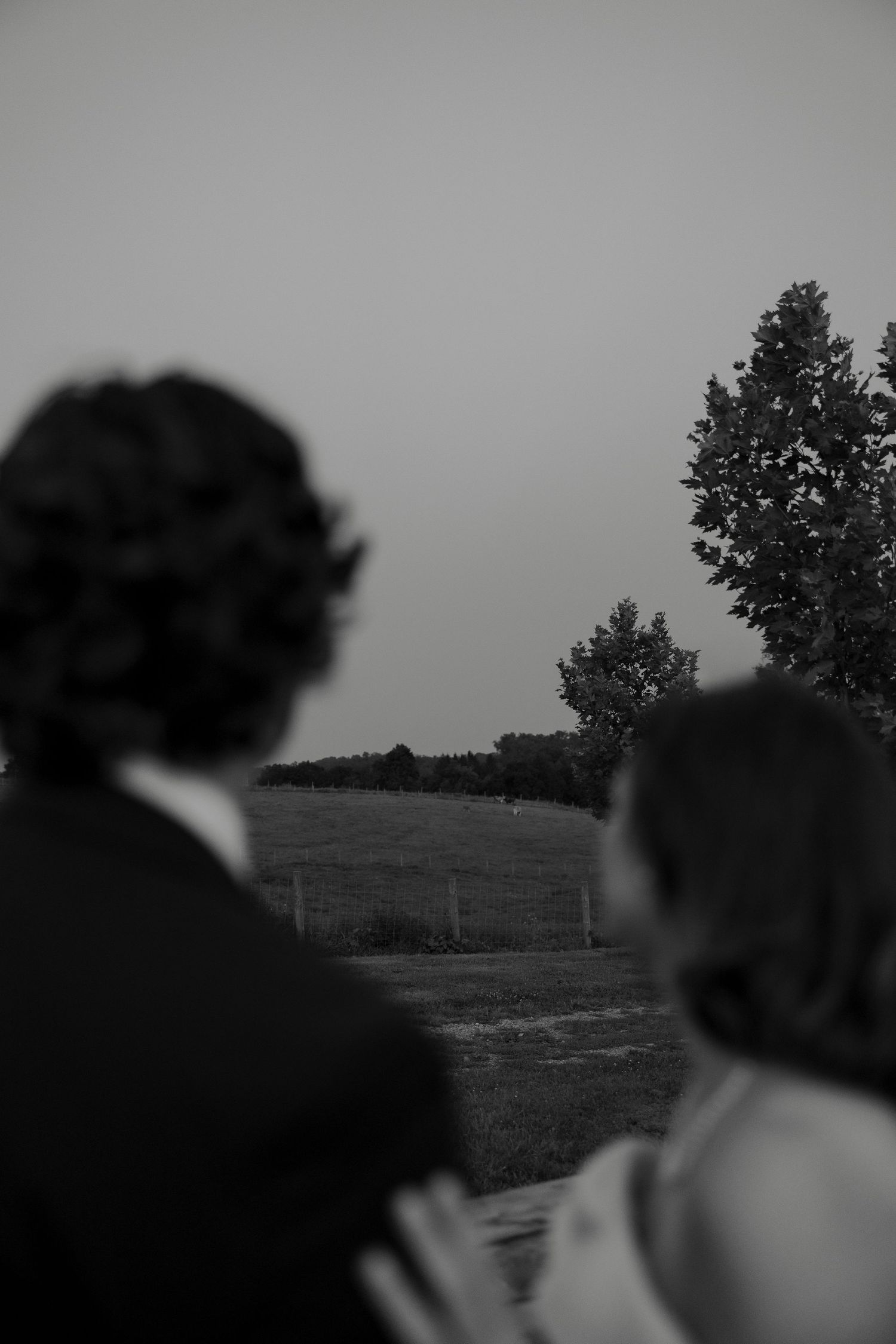 Black and white photo of bride and groom viewed from behind, gazing over a serene countryside landscape.