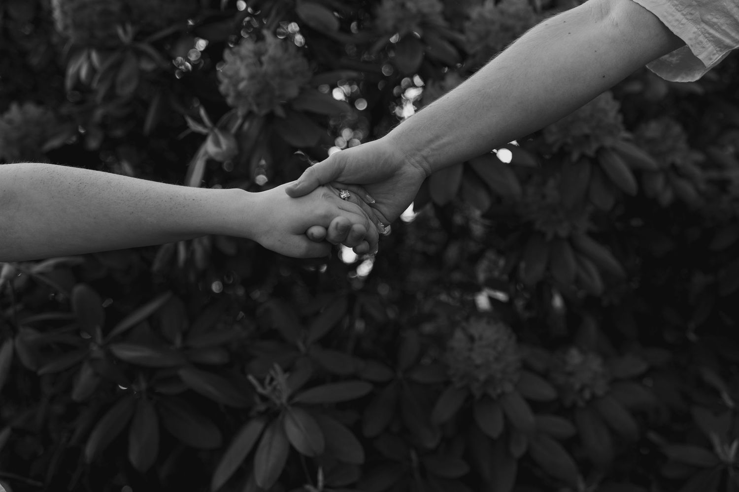 Black and white photo of two people holding hands outdoors with lush green foliage in the background.