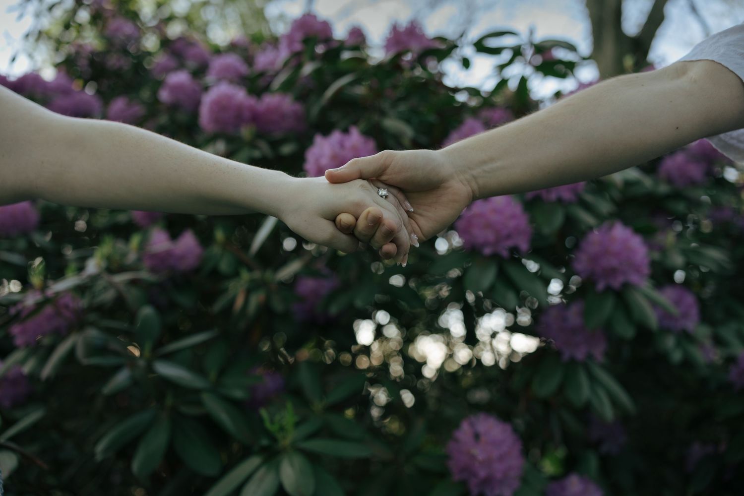 Couple holding hands in front of blooming purple rhododendron flowers in a lush garden setting.