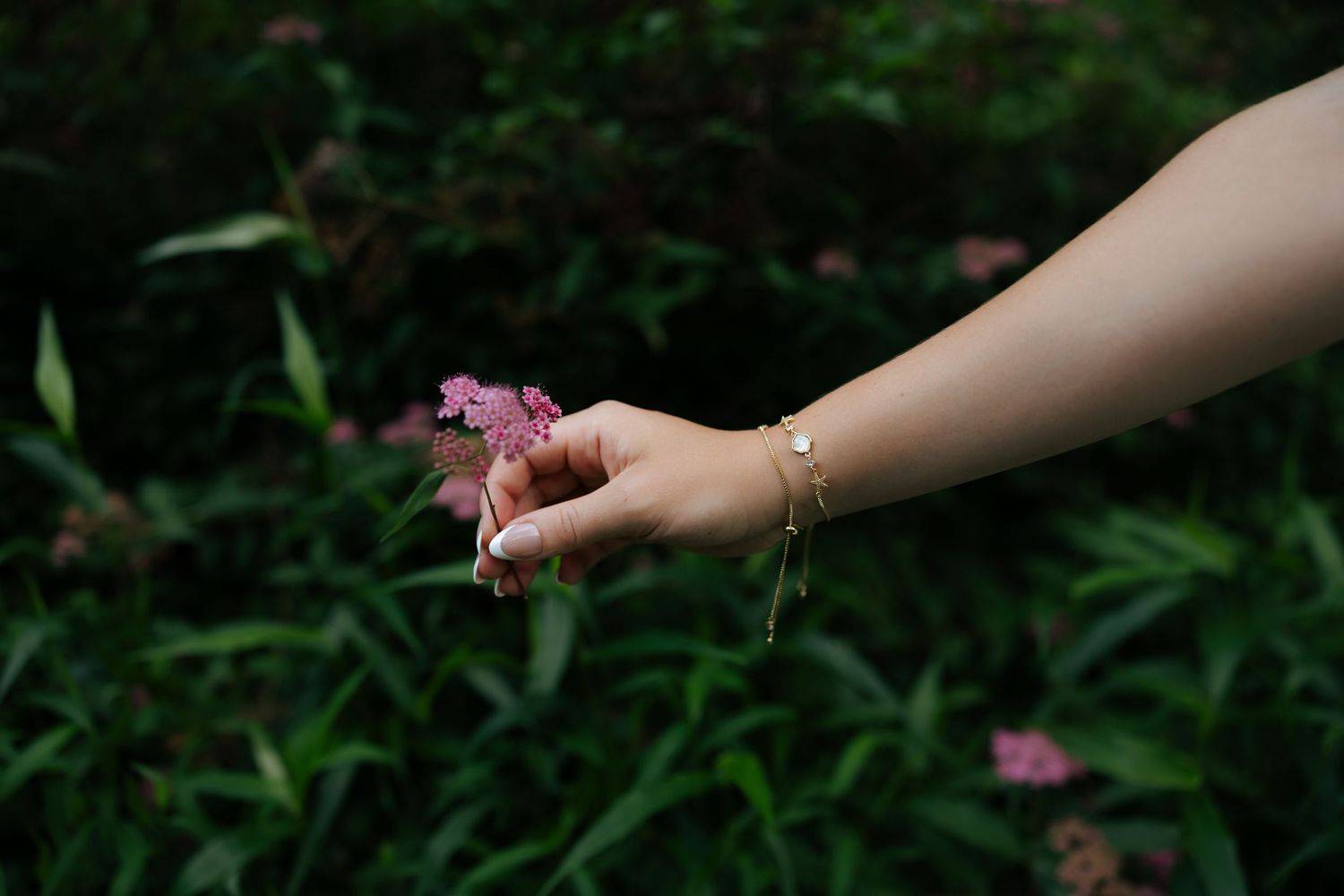 Close-up of hand holding small pink wildflowers with gold bracelet against green foliage.