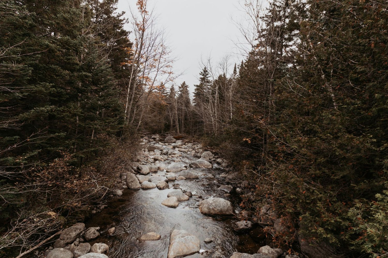 Snow-covered mountain trail winding through evergreen forest in winter.
